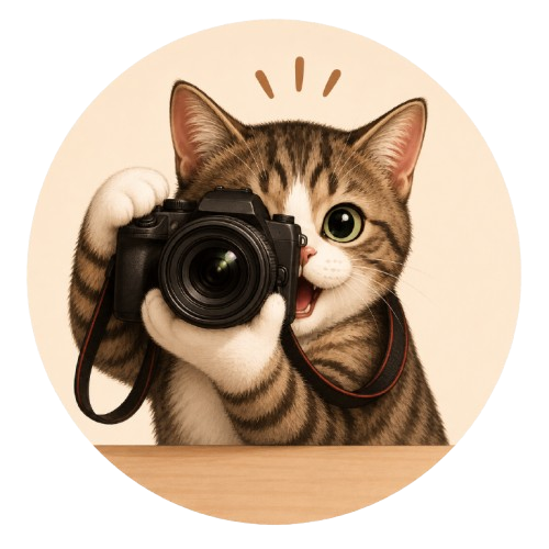 Photos